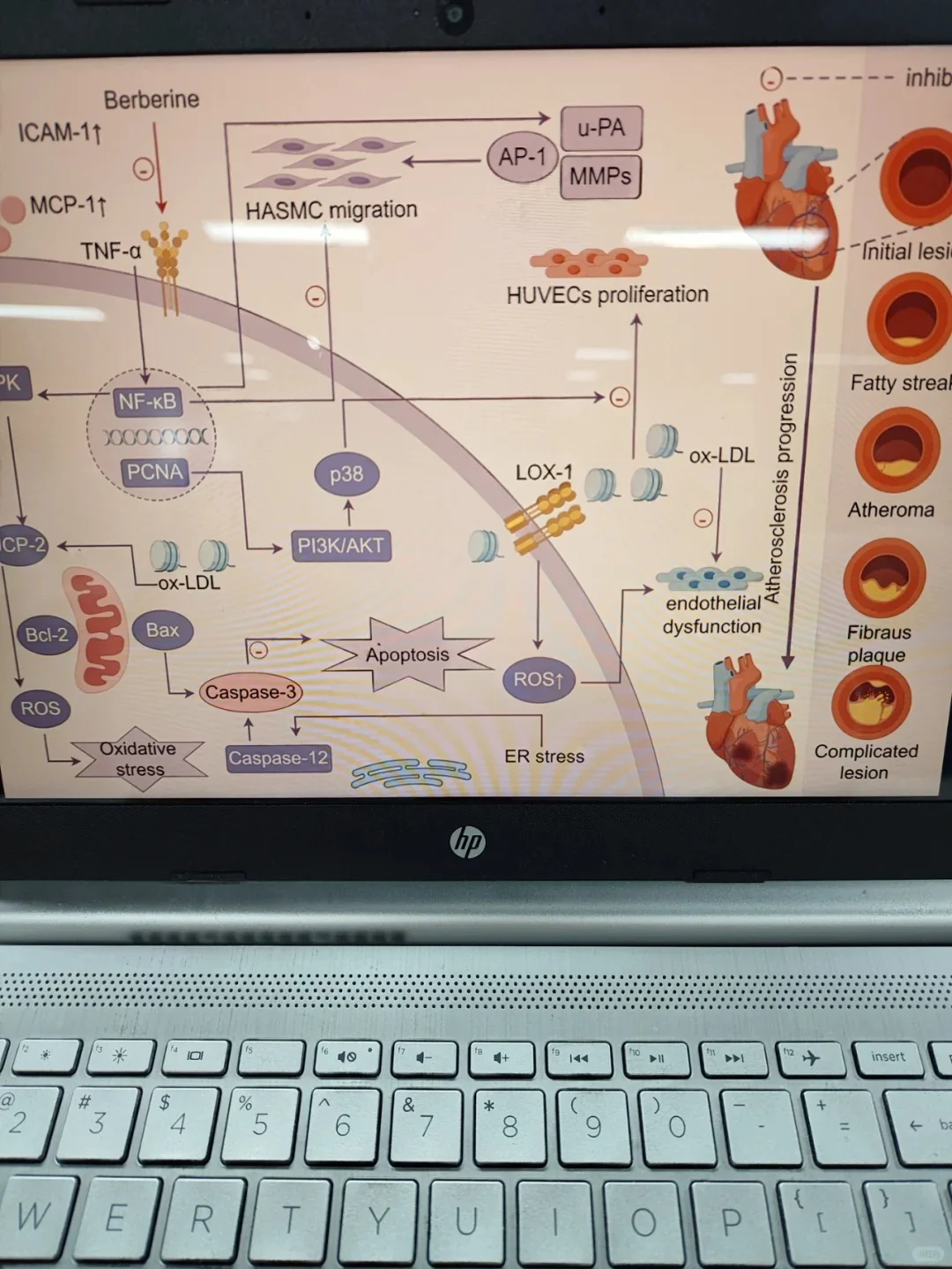 我愿称这个网站为年度最伟大的发现