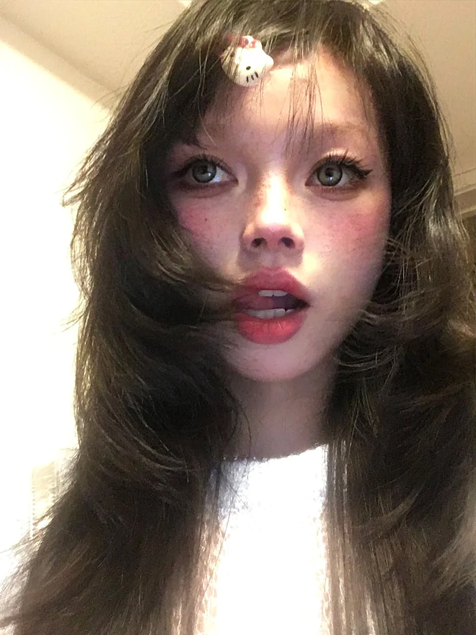 卷毛猫🐱