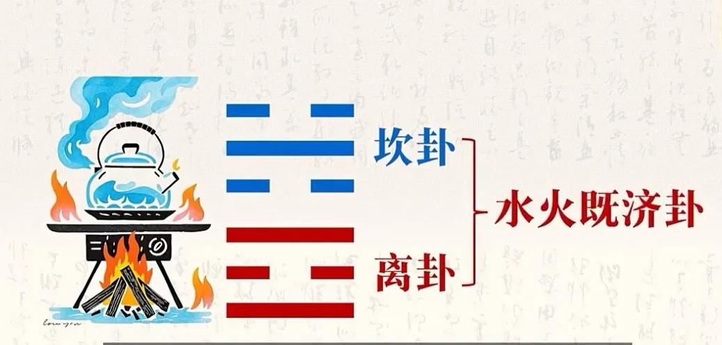 今日去江苏省人民医院，竟意外邂逅了梅花独秀的美景。江苏省人民医院可是江苏省最大的