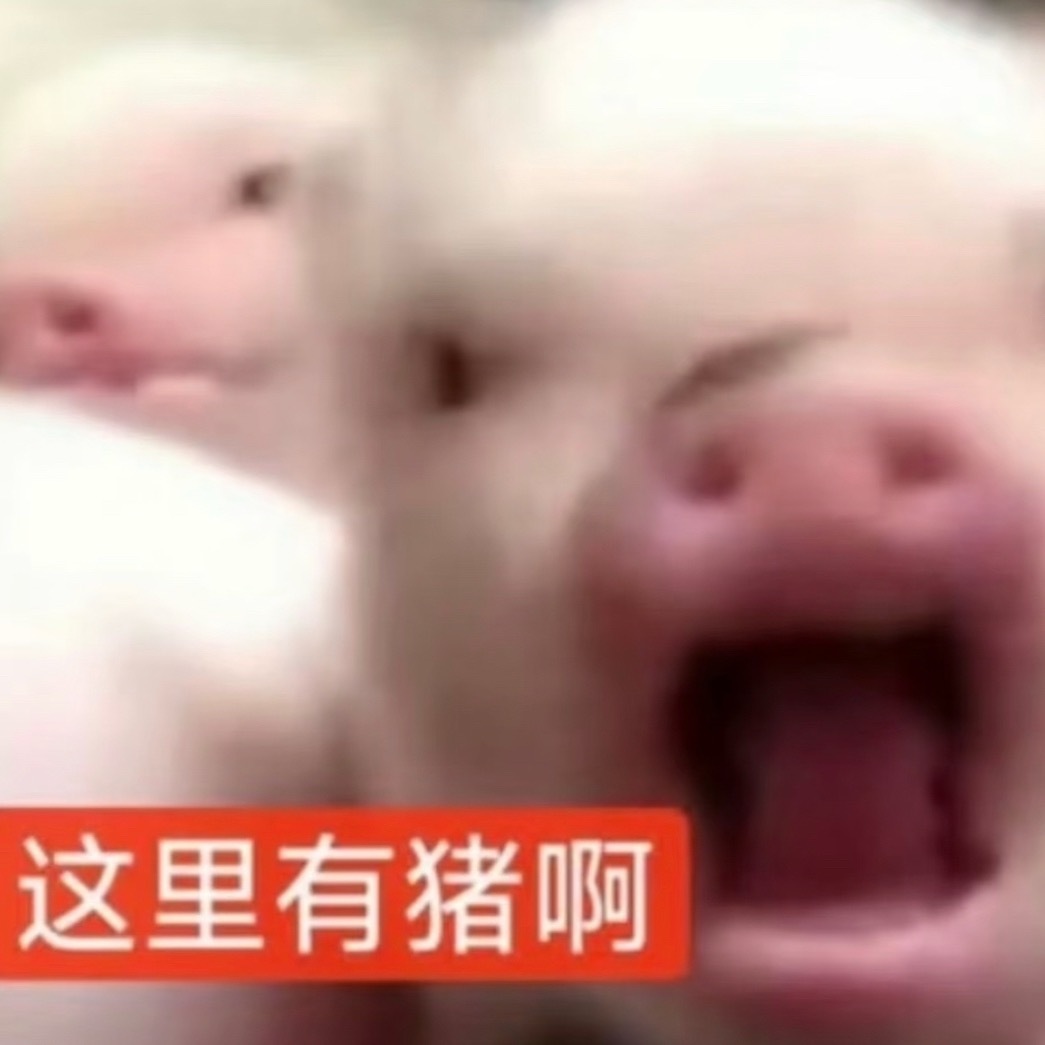 我养孩子了 ​​​