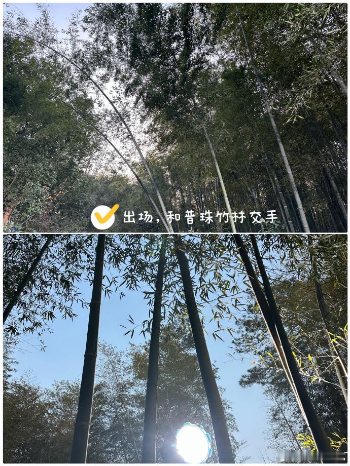 陈瑶水龙吟随拍日记🈶，真的是记录了剧组里面的很多天呀，也看到了对这部剧付出了好