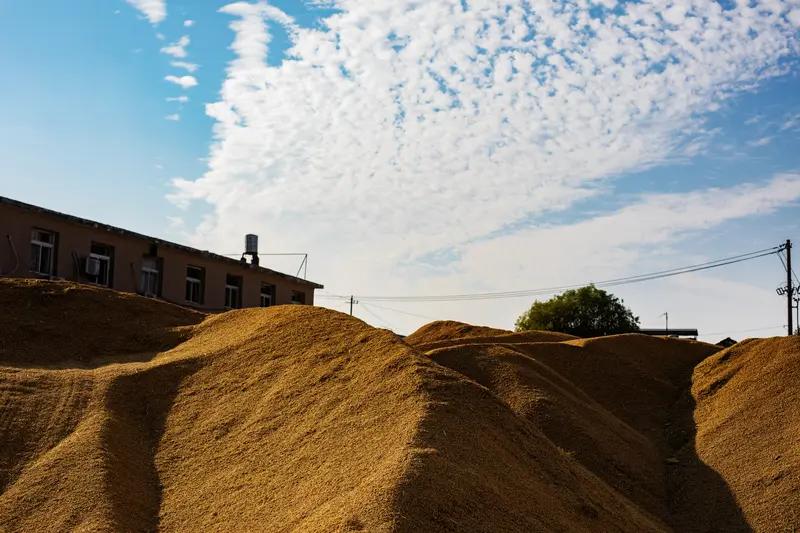 春播禾千亩，请对5字下联秋收粮满仓