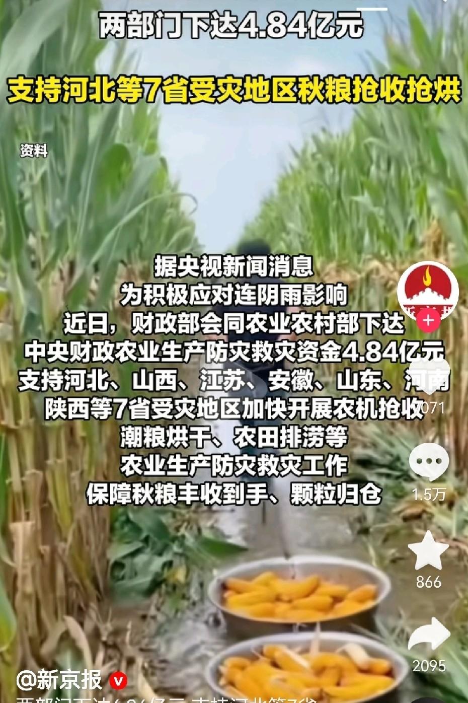 今年秋收真是愁死个人，陕西河南山西那一片，下了个没完没了的雨，七个省的庄稼都泡水