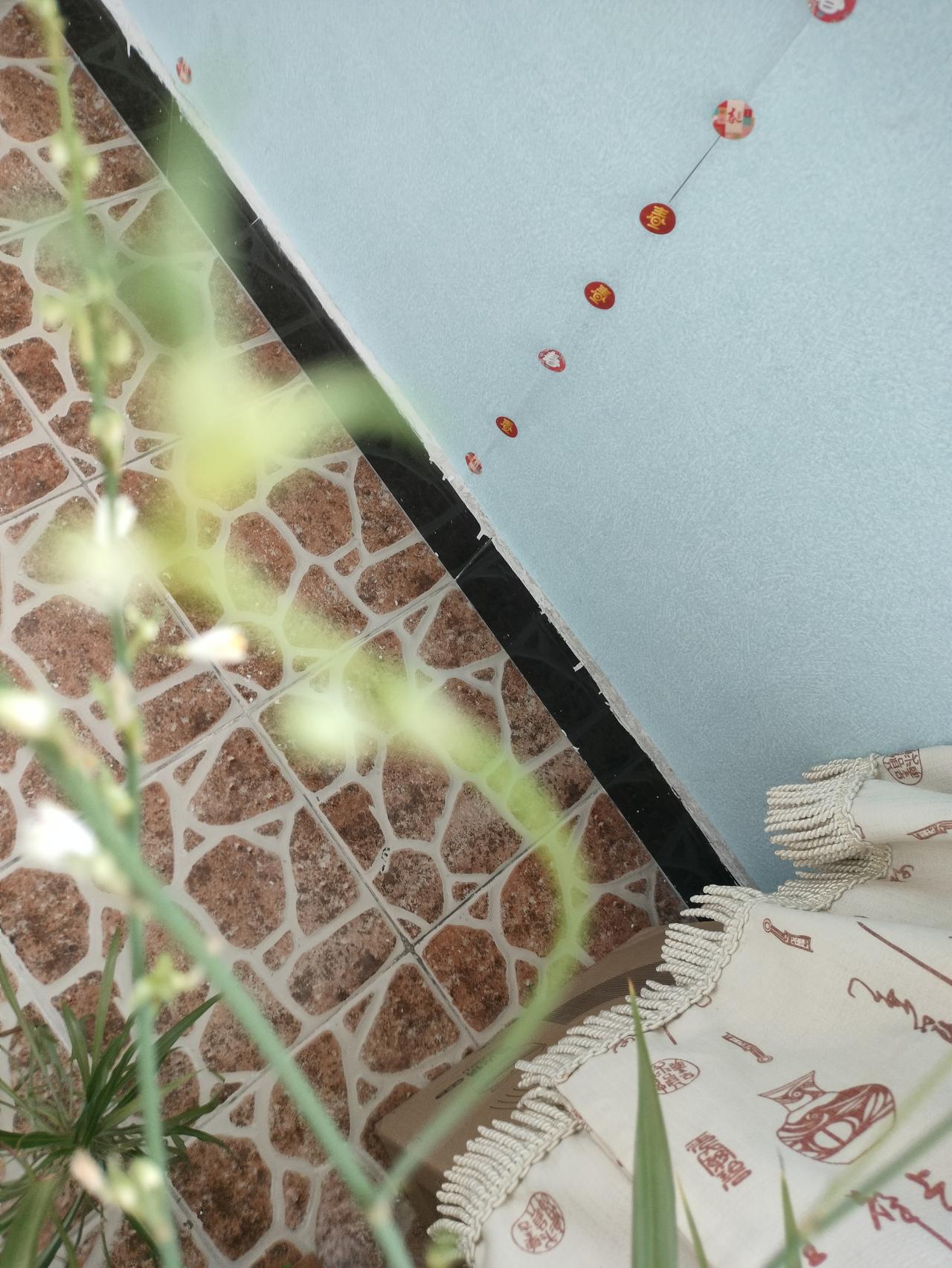 夏日生活打卡季我家的兰花静悄悄的开了，今年的兰花放在阳台上，没有往年的颜色好看，