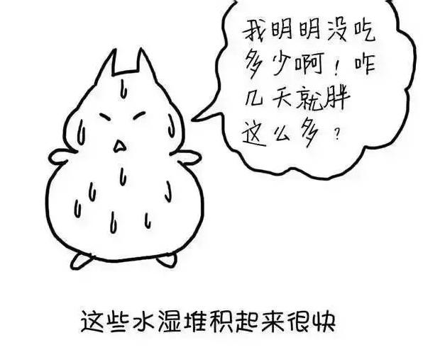 湿气6大克星，痰湿、寒湿、湿热都不怕，全部赶走！
1. 参苓白术散
适用：脾虚生