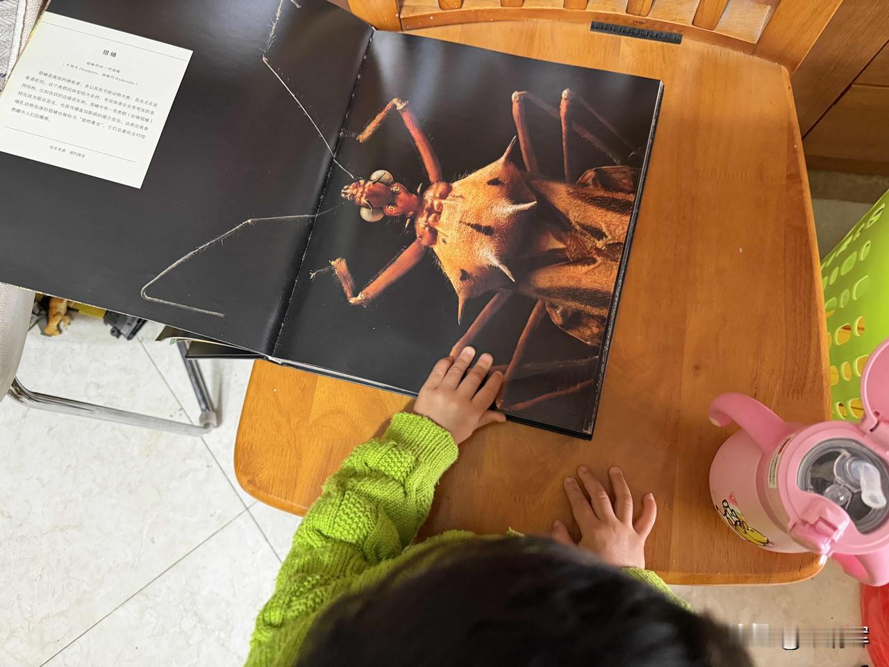 （1471）：孩子，早上好。今天深圳早上下了一场小雨，空气持续保持湿润，忙碌的人