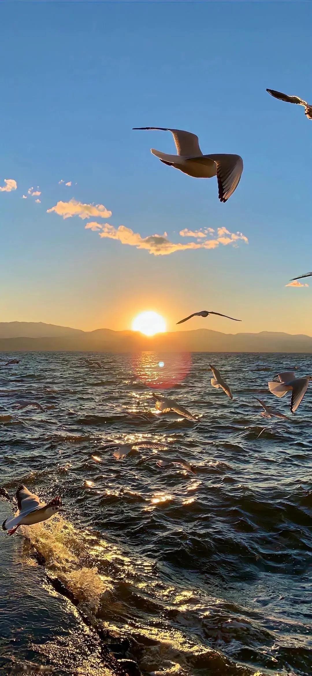 初出茅庐
在云雾缭绕的青岩山上，有一座清幽的剑庐。少年楚逸自幼被剑庐主人玄风剑客