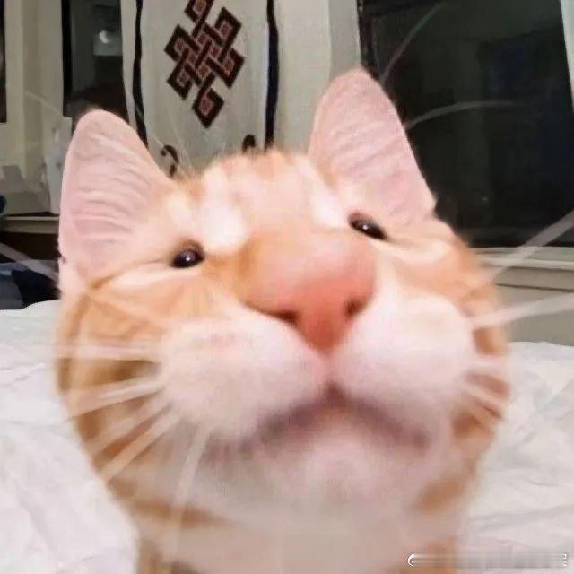 #00后挑战三个月打卡22座城市#00后就是活力的代名词，这样的挑战也是感受到了