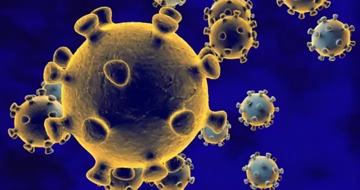 世界卫生组织|山西太原进口冷冻带鱼制品外包装检出阳性 相关人员货物已管控