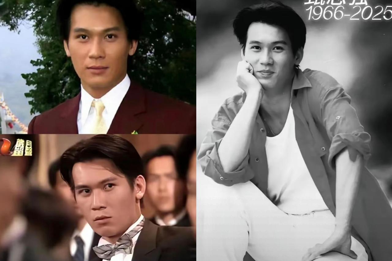 终于知道，
甄志强为什么走的这么突然了，
问了一个学医的朋友，说他在世的时候，生