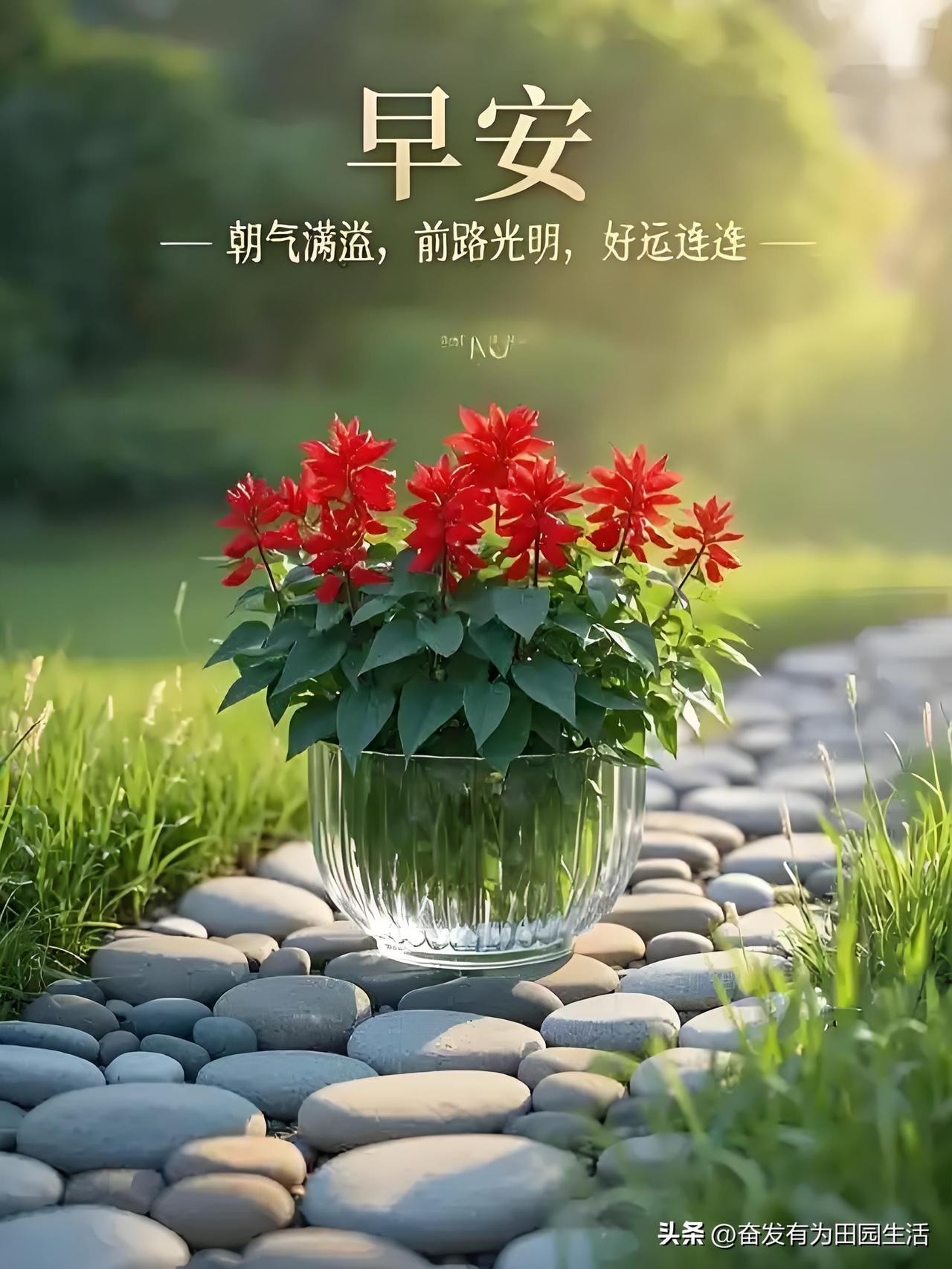 早安，美好的一天从清晨的阳光和鲜花开始。🌞🌸