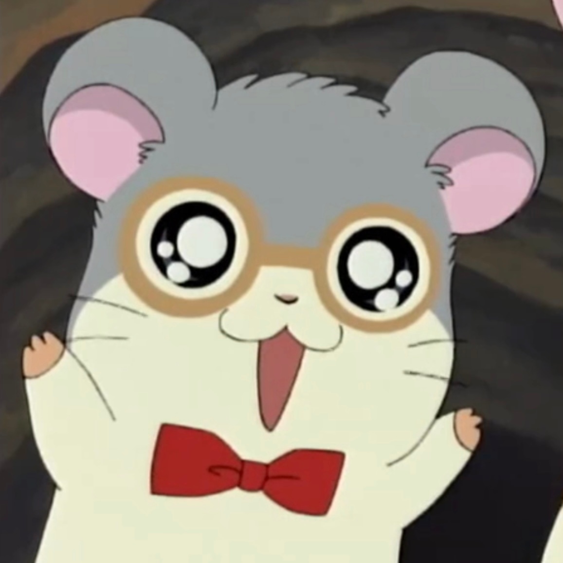 哈姆太郎的圣诞节!![圣诞袜]🐹[圣诞帽] 
