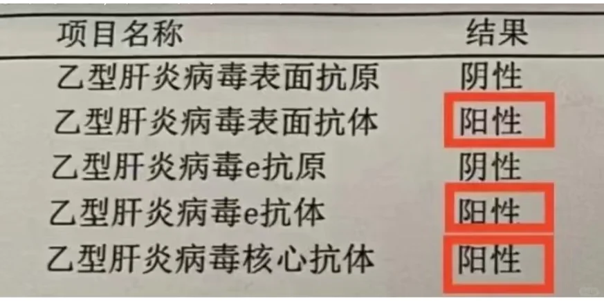 乙肝五项245阳性，说明机体已有抵抗力！