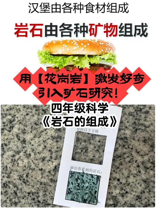 15分钟活动激起的好奇，让岩石观察有了目标！