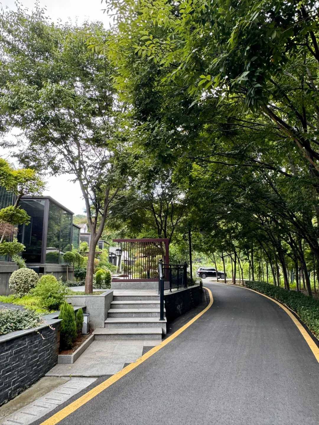 不在京都！！！在南京！！！