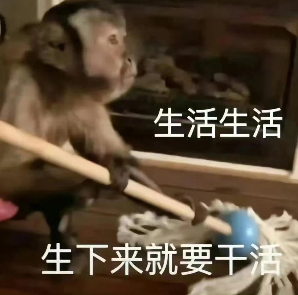 我现在就是个三无产品，无语无力无助。 ​​​