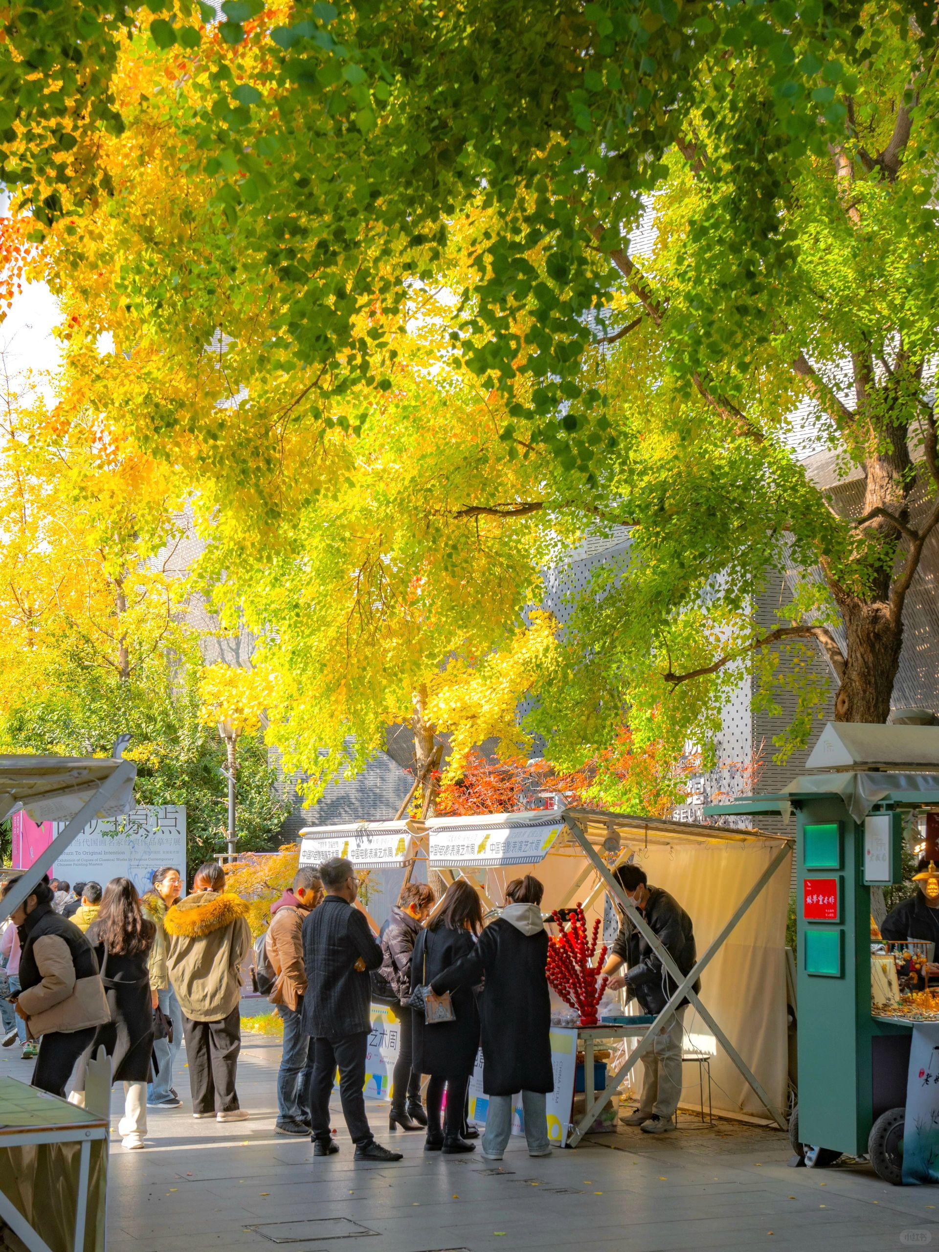 Citywalk｜想了解真南京，老门东必须来一趟