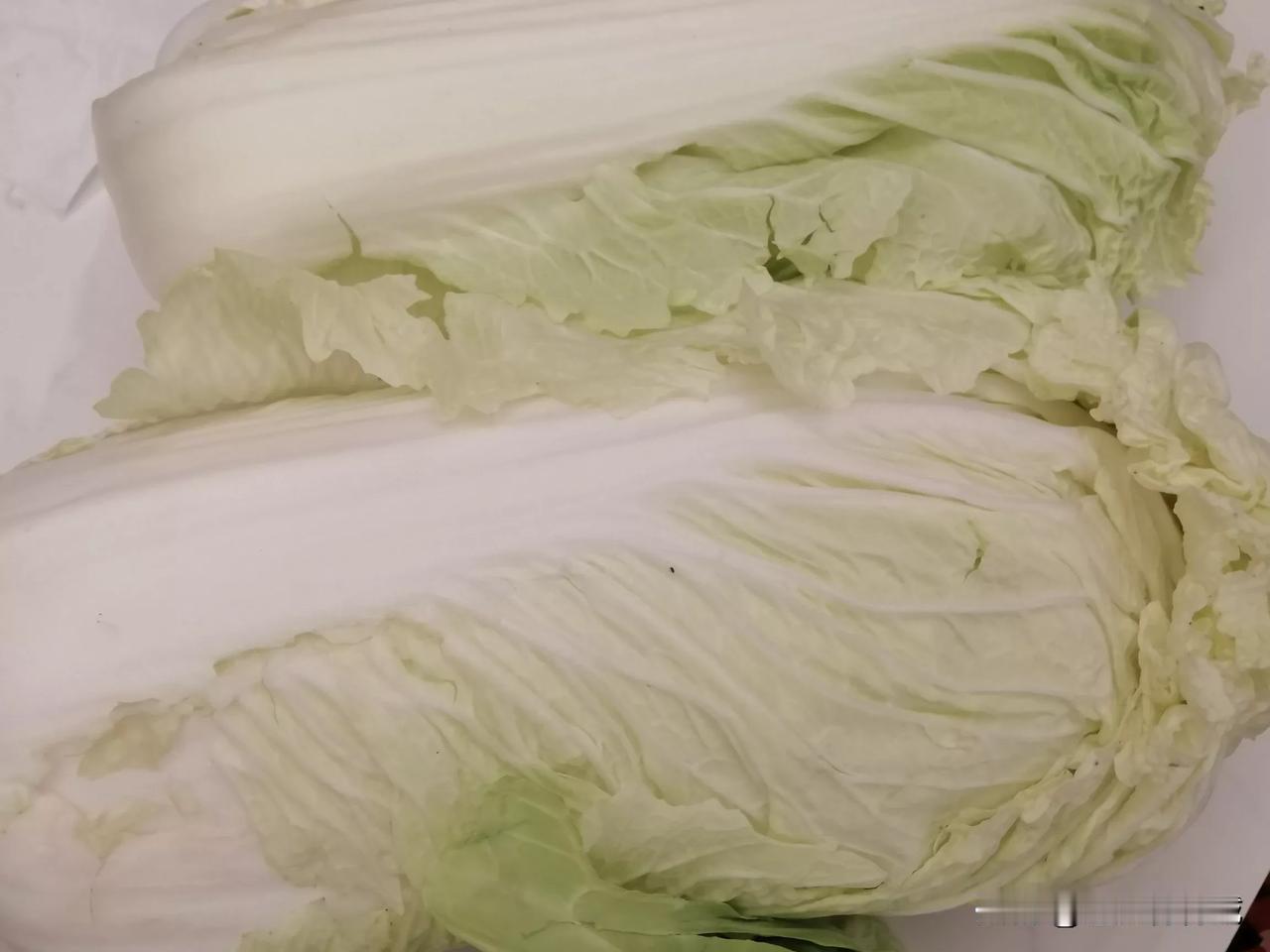 好久不见，艺术厅北街百家润超市里的东西依然让你惊讶！大白菜0.5元／斤，圆白菜0