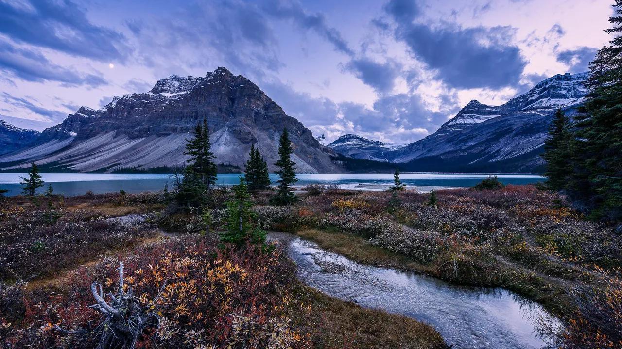 最高级的活法
把自己活成一个完整的圆，
你没有缺口。
无需别人来填补，
风吹过来