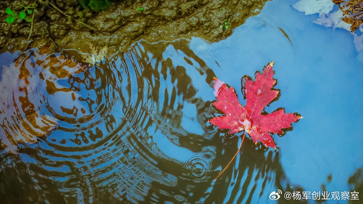 【对赌协议：效力是前提，可执行才是关键】对赌协议是投资中的核心风控安排，其有效性