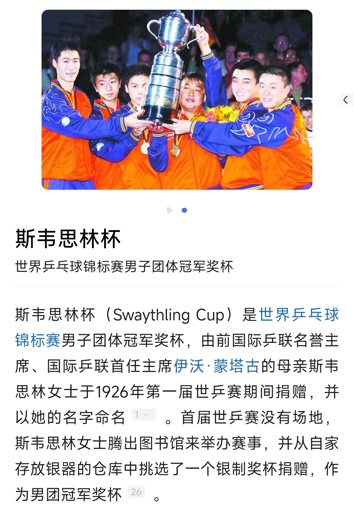 斯韦思林杯百度百科图片用的06年不莱梅我好爽吧 ​​​