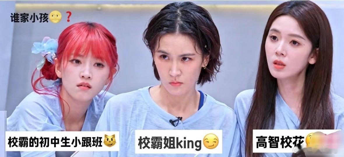 有没有人懂这张图