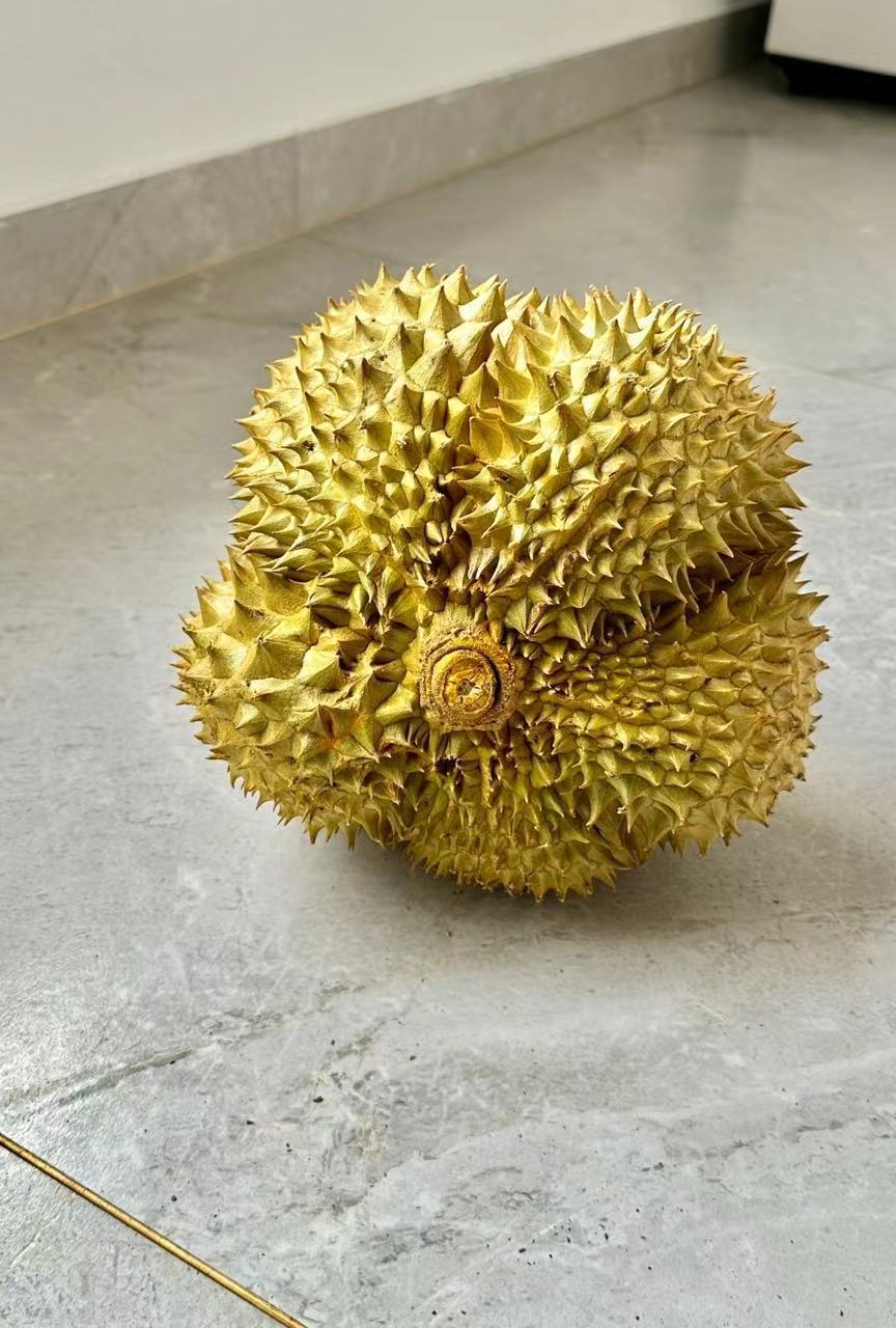 喂 是水果反诈中心吗买了一个榴莲回来犒劳自己，看晚上都说榴莲有刺客，打开没有肉，