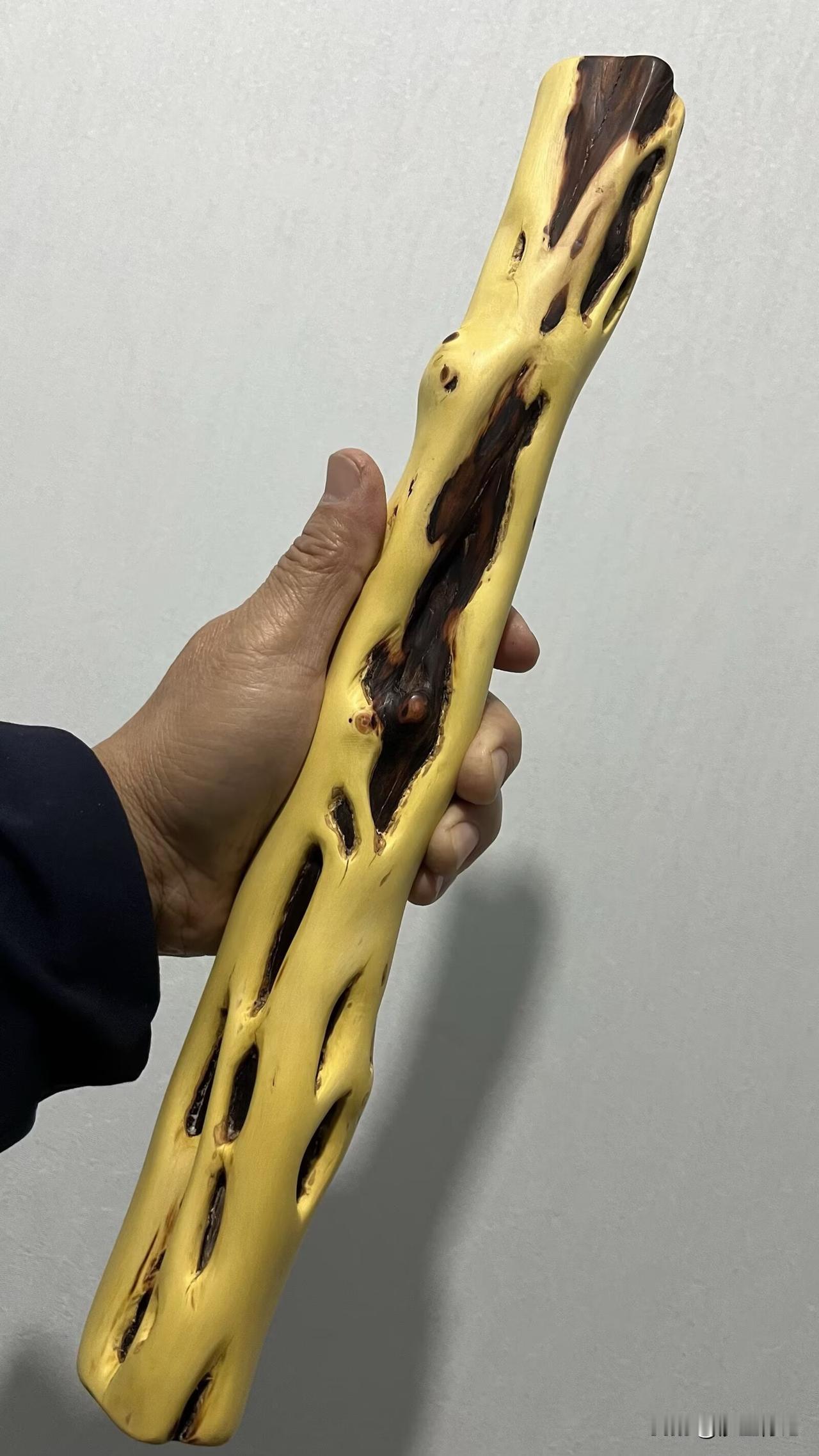 户外徒步，发现了一棵老气横秋却仅有几公分粗的酸枣木，浑身上下布满了雷击过的疤痕。