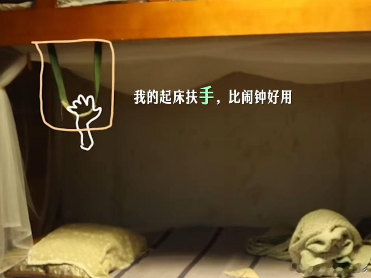 春和和他的朋友们 春和的朋友们都不一般！这个新宣预告好可爱，是春和的视角里他的朋