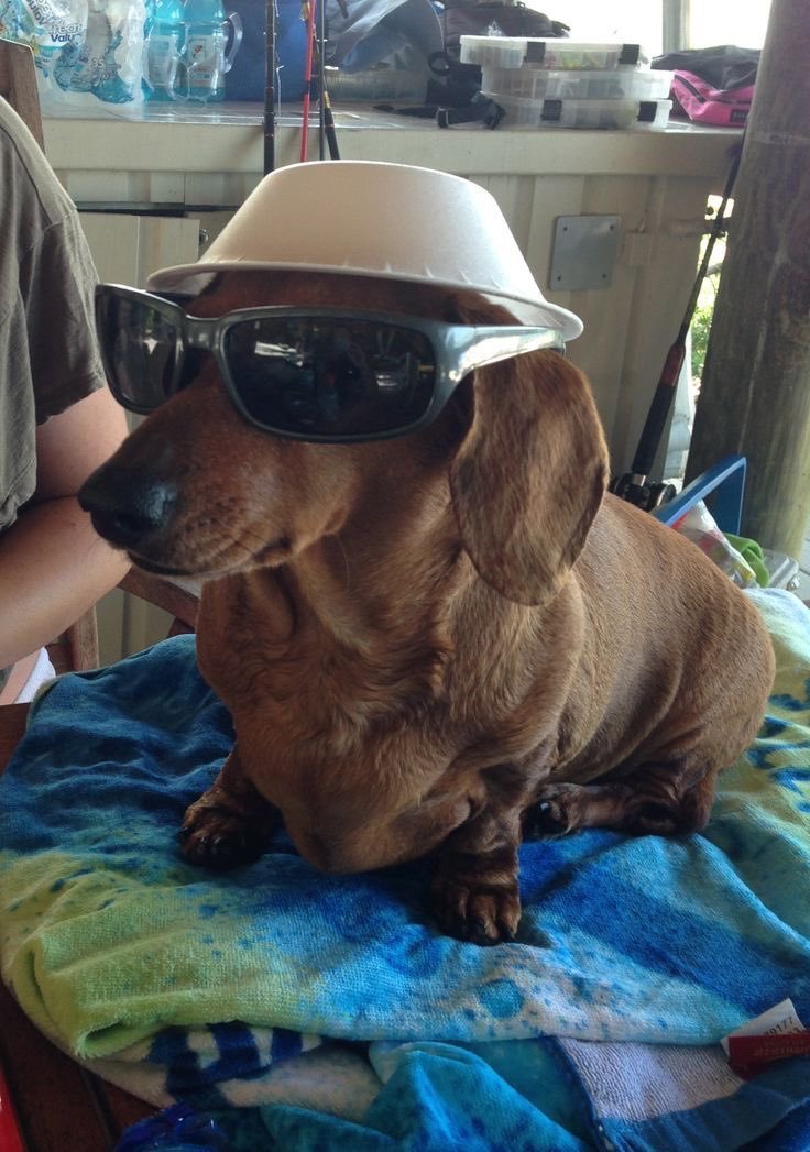 cool gentlemanmeme