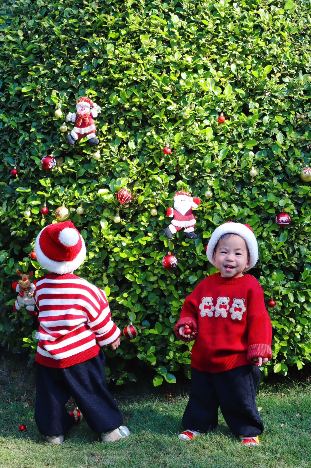 人均10💰低成本双胞胎宝宝圣诞照🎄