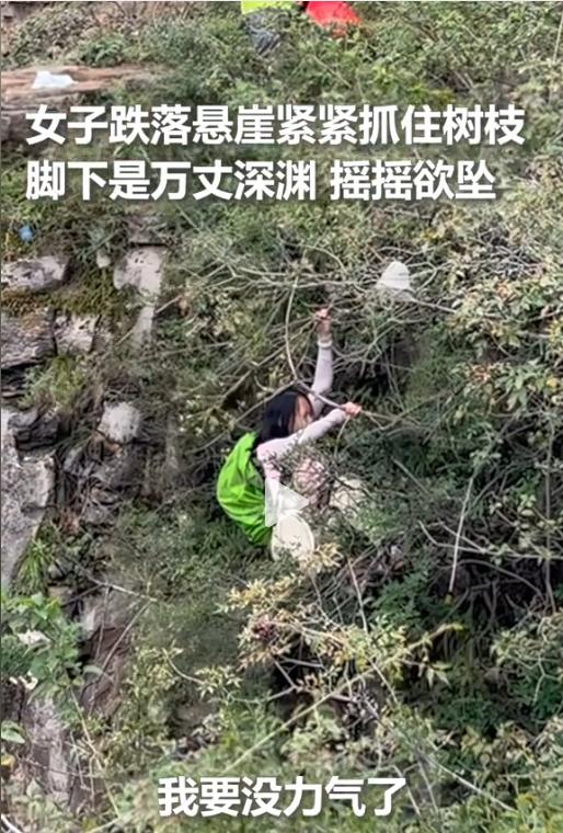 太惊险了！山西，女子和队友爬太行山，拍照时不小心滑倒掉落悬崖，万幸被半腰的树枝挂