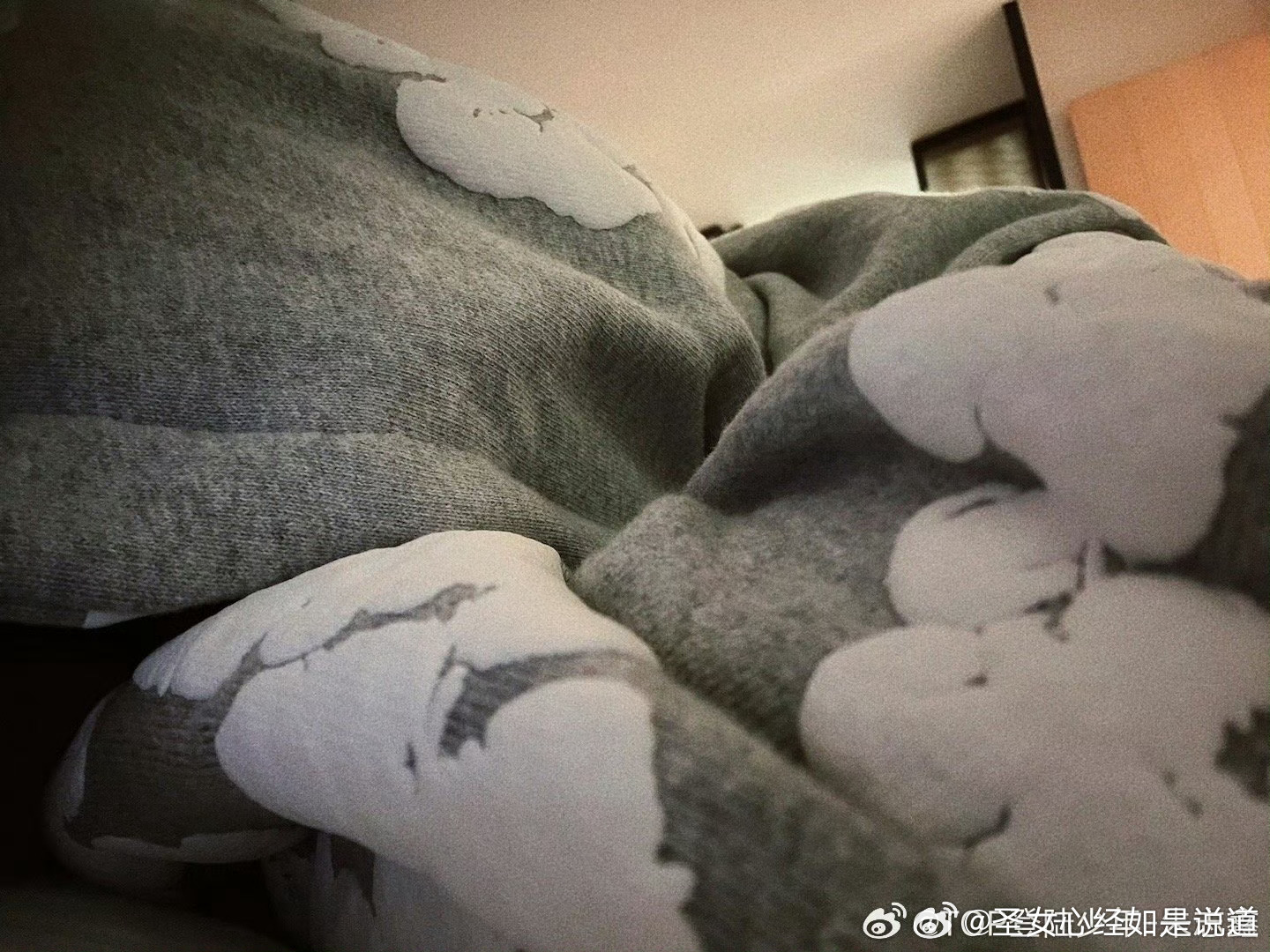 笑晕然后这只猪还押中了时装周的主题（都有花花 