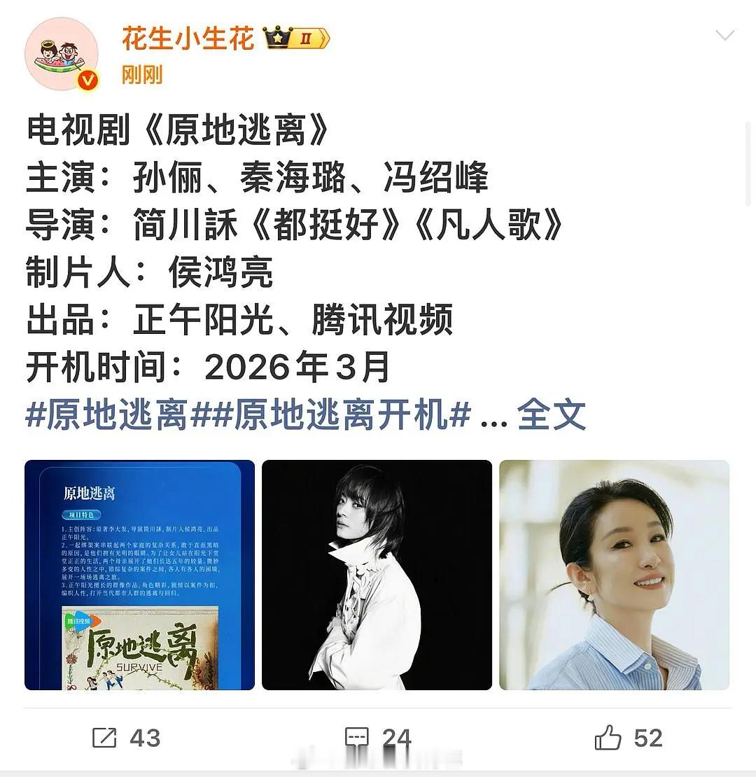 正午找来孙俪能挽救这两年的颓势吗