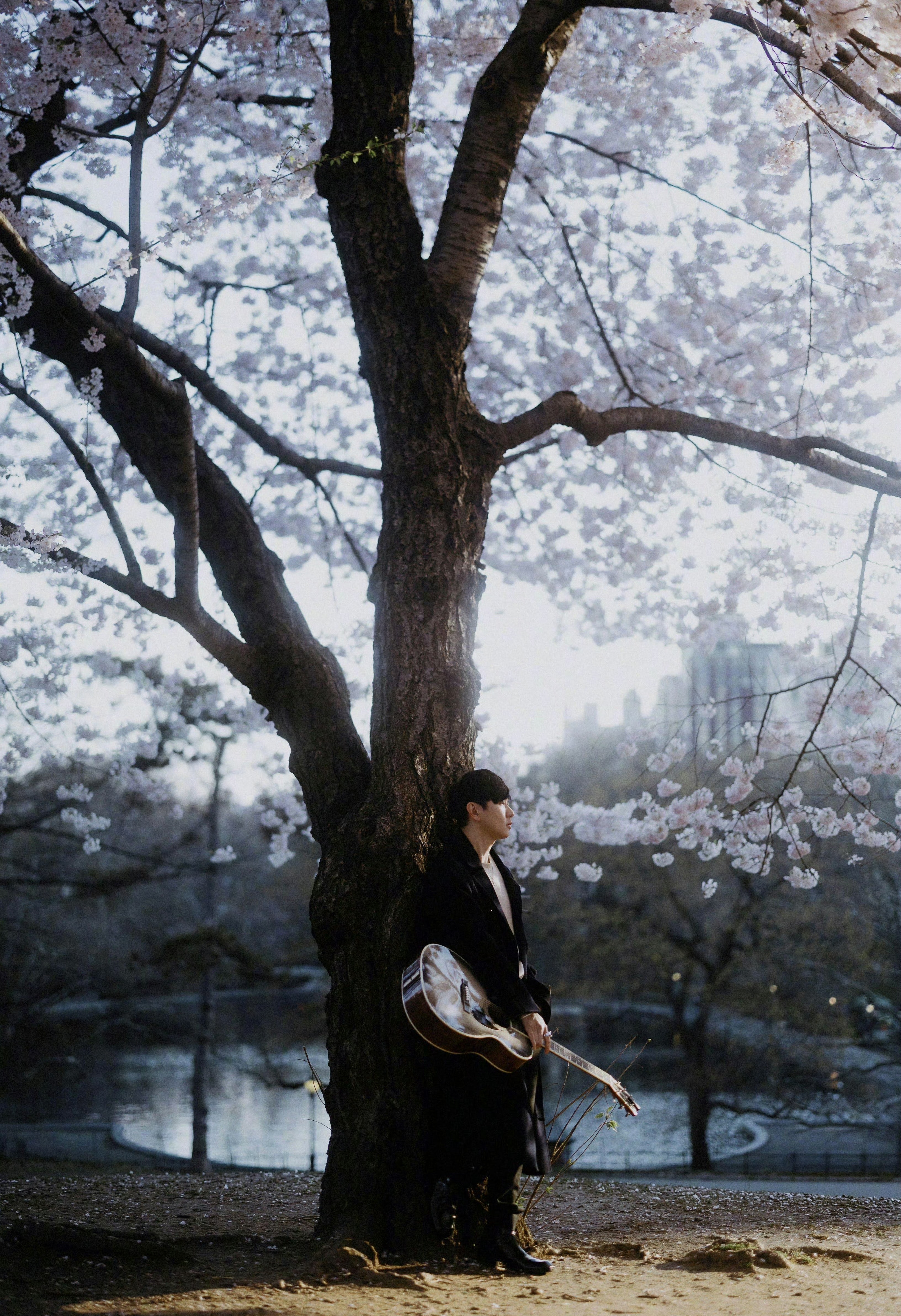 快乐、二十三周年。林俊杰林俊杰出道23周年  新郑·郑州新郑国际机场