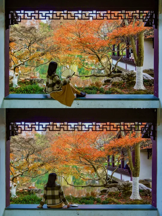 接下来的杭州美疯了❗️12个赏秋地合集🍂