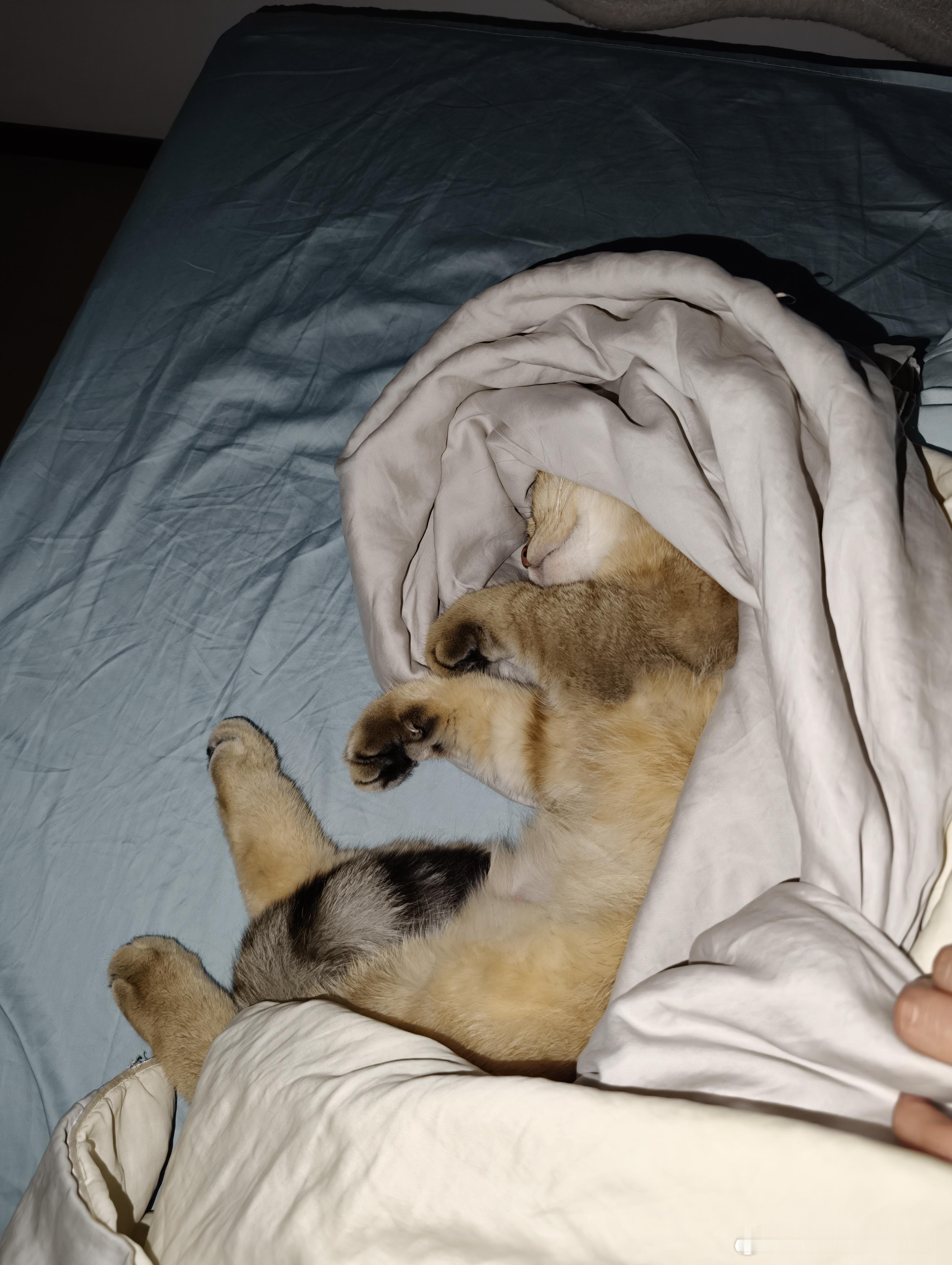 下雨天就只适合窝在床上 