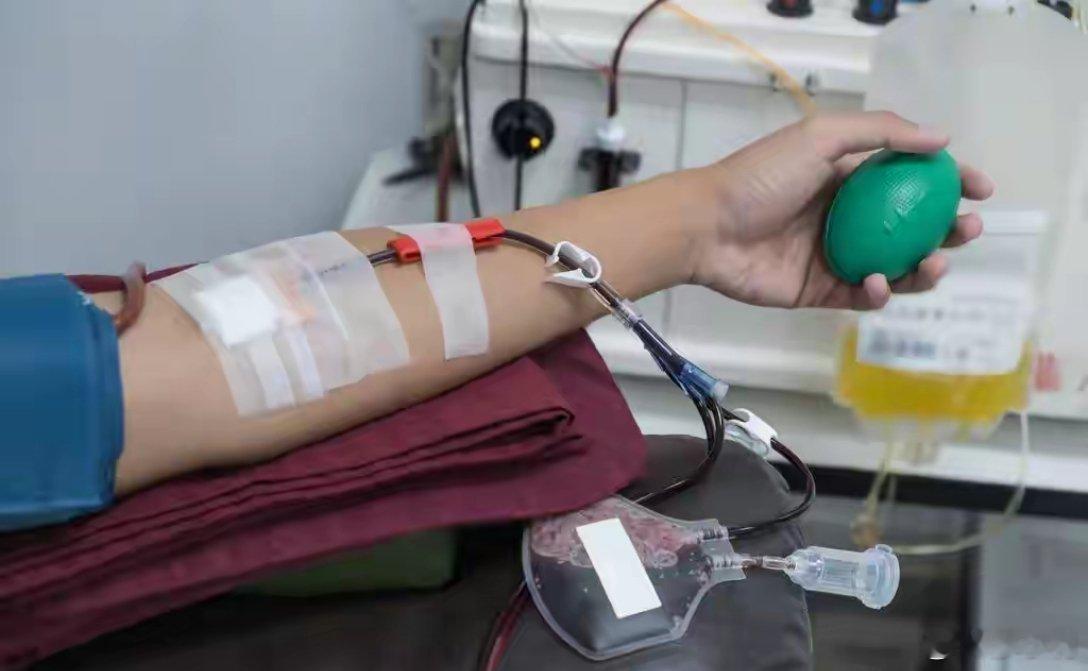 2025年中国的专家们发布了很多研究成果，有网友早就总结出来了：无偿献血能促进新