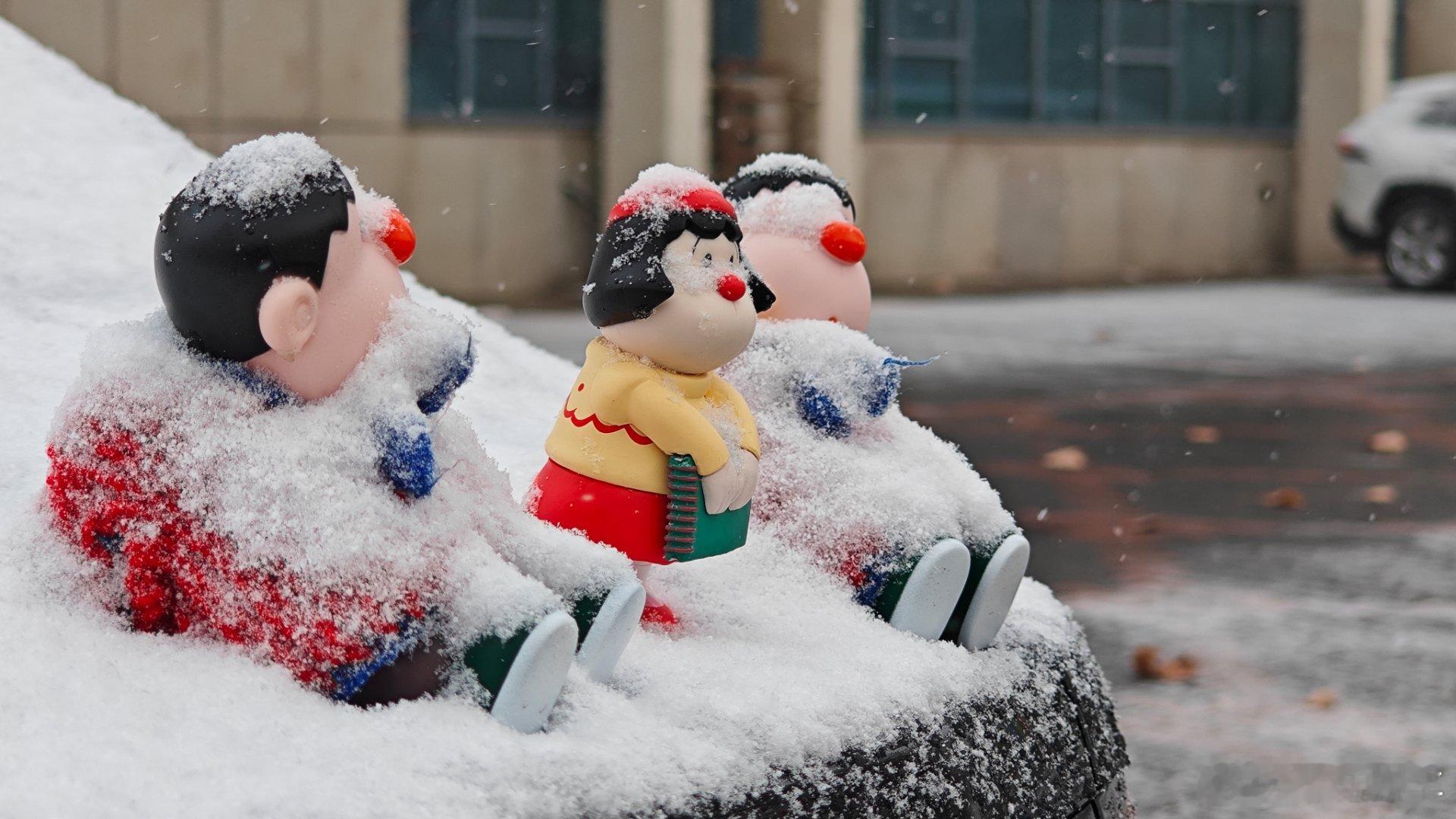 下雪后出片的正确打开方式雪后天地像被按下静音键，纯白滤镜铺满每一寸角落。踩在松软