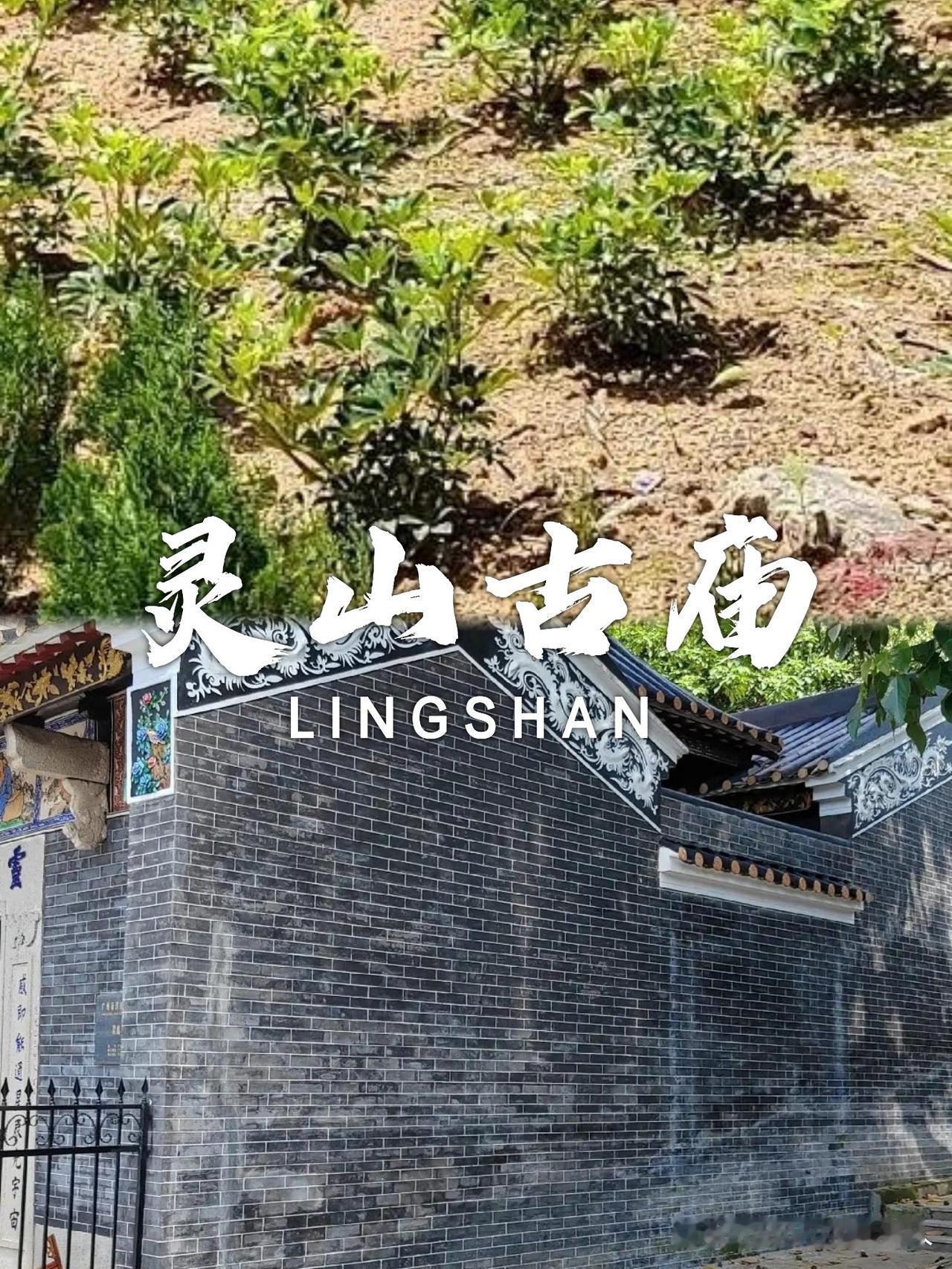 穿越千年的灵山古庙攻略✨

在喧嚣都市里寻一处静谧，这份古庙打卡指南带你解锁小众