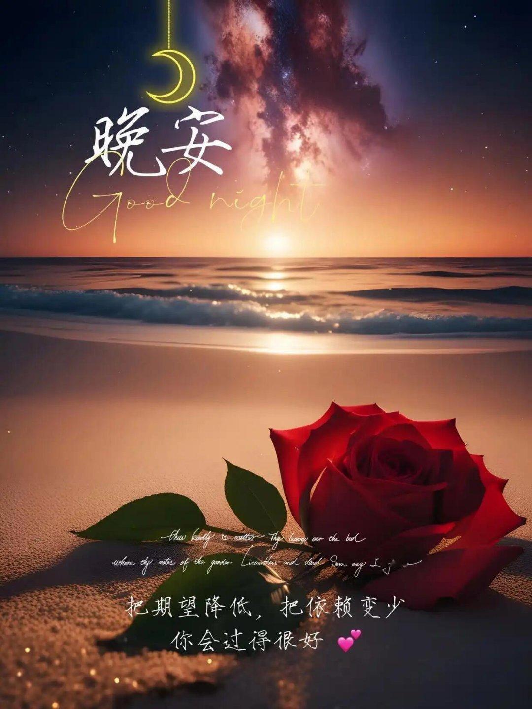 晚安 晚风陪着花影晃悠，灯火照亮回家的路。把白天的烦心事放下，安心睡个好觉吧。愿