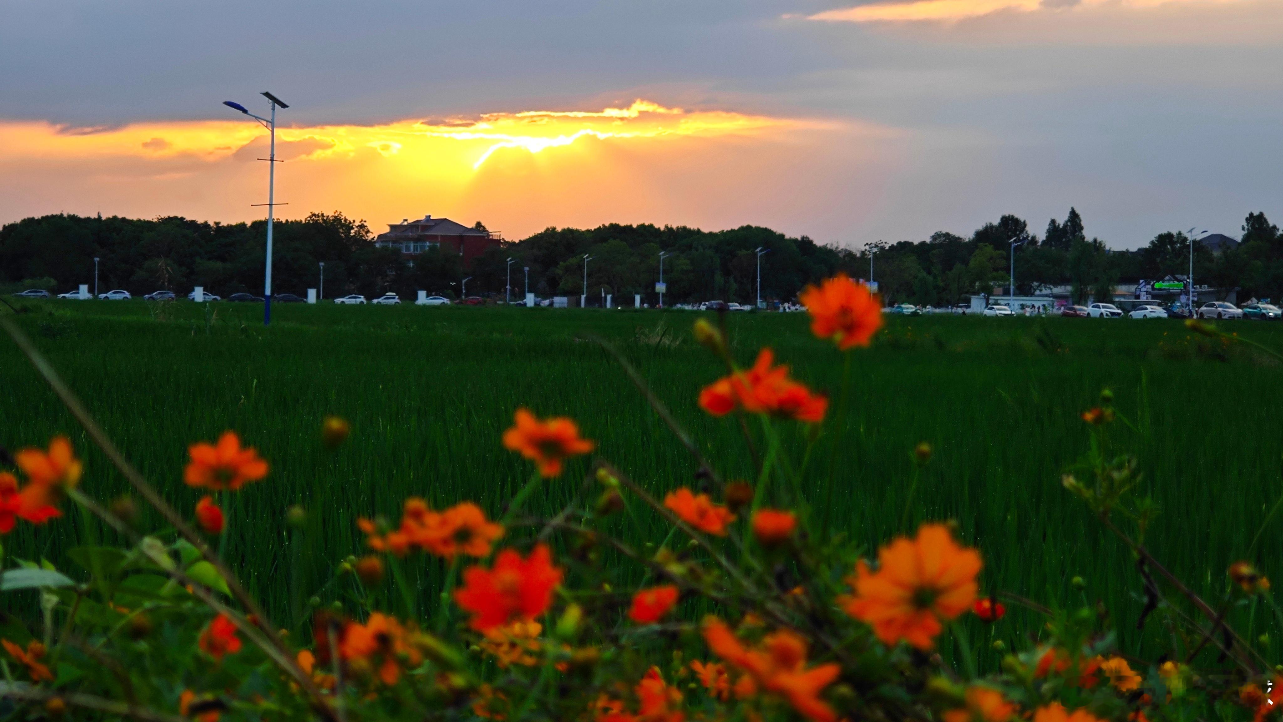 后陡门夕阳含“金”量！肉眼可见！多来后陡门逛一逛👣对大家颈椎还挺好的！🌇这么