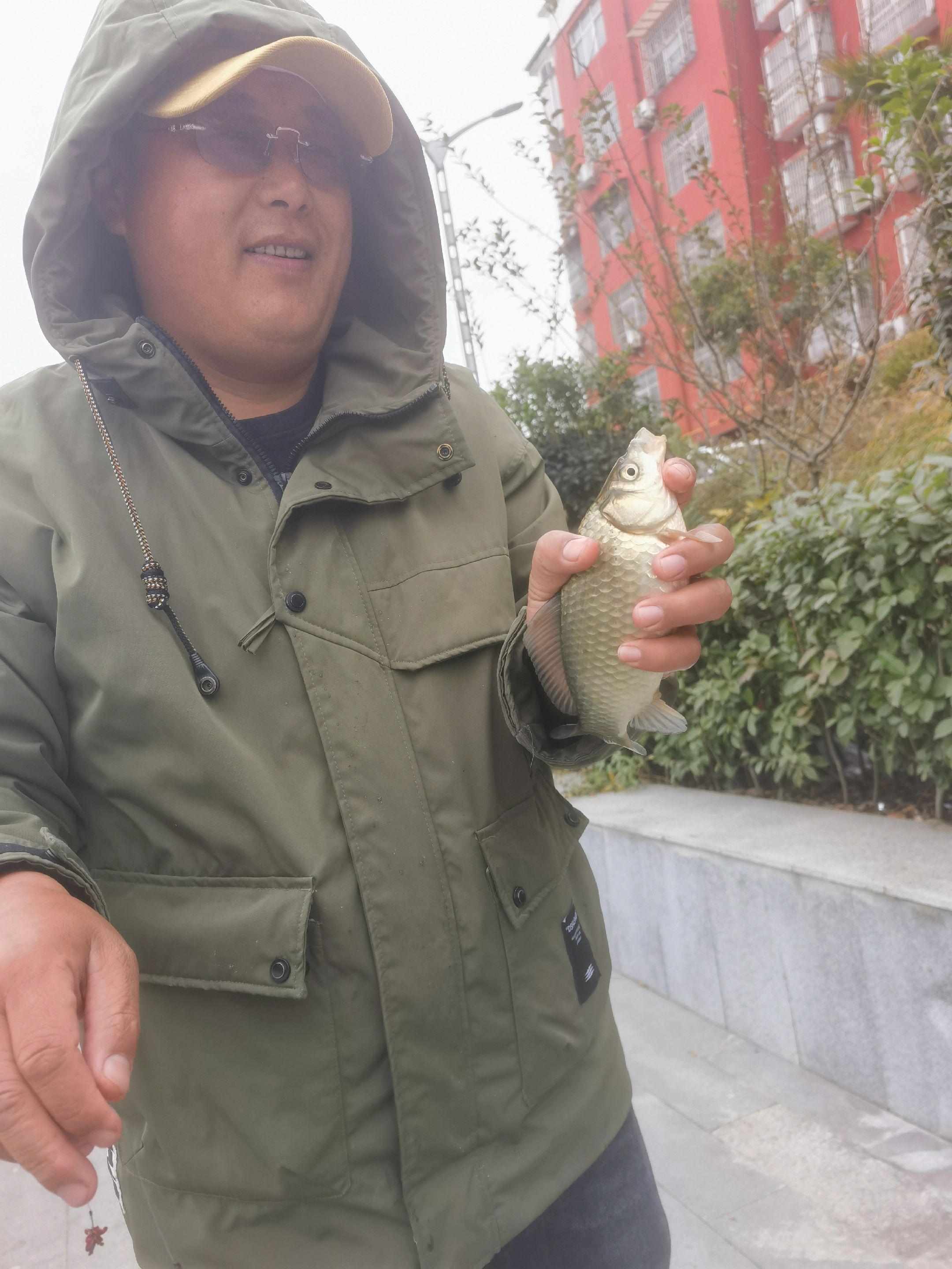 大斤鲫，不大。没有鱼，真的没有鱼！不大，真的不大！