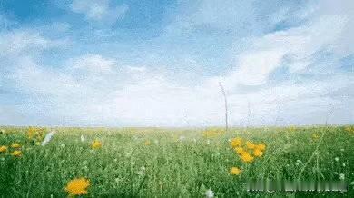 上周一下午，阳光灿烂，鲜花怒放，气温急速升高，虽是春日，却仿佛夏天一般。
身份证