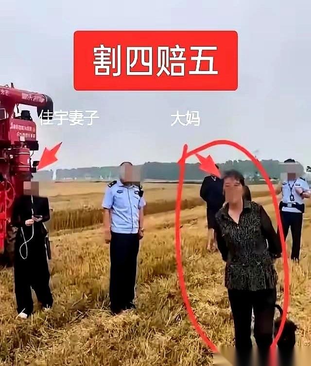 最近那个“割四赔五”的事，简直是把人活活气笑了。
河南一对小夫妻，开着收割机，连