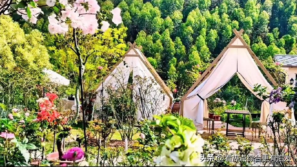 520｜半生已老，依旧相信明天更好
 
520，不必情话万千，不必讨好世间。
半