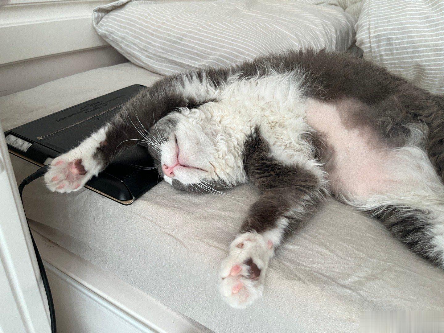 猪猪起床吃饭啦 ​​​
