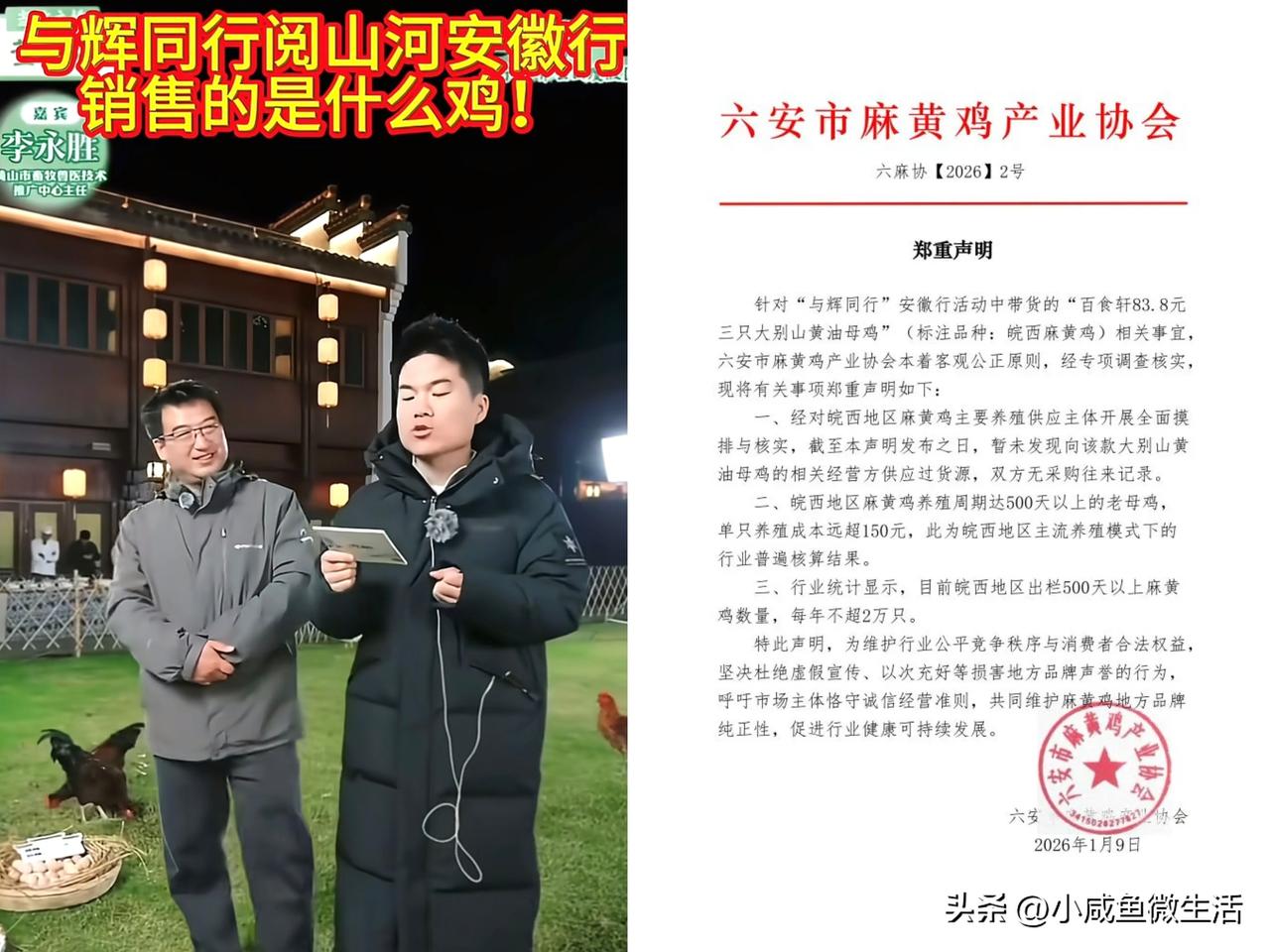 董宇辉一开始就是被冤枉的！

他从头到尾都没有说卖的皖西麻黄鸡，而是黄油母鸡。