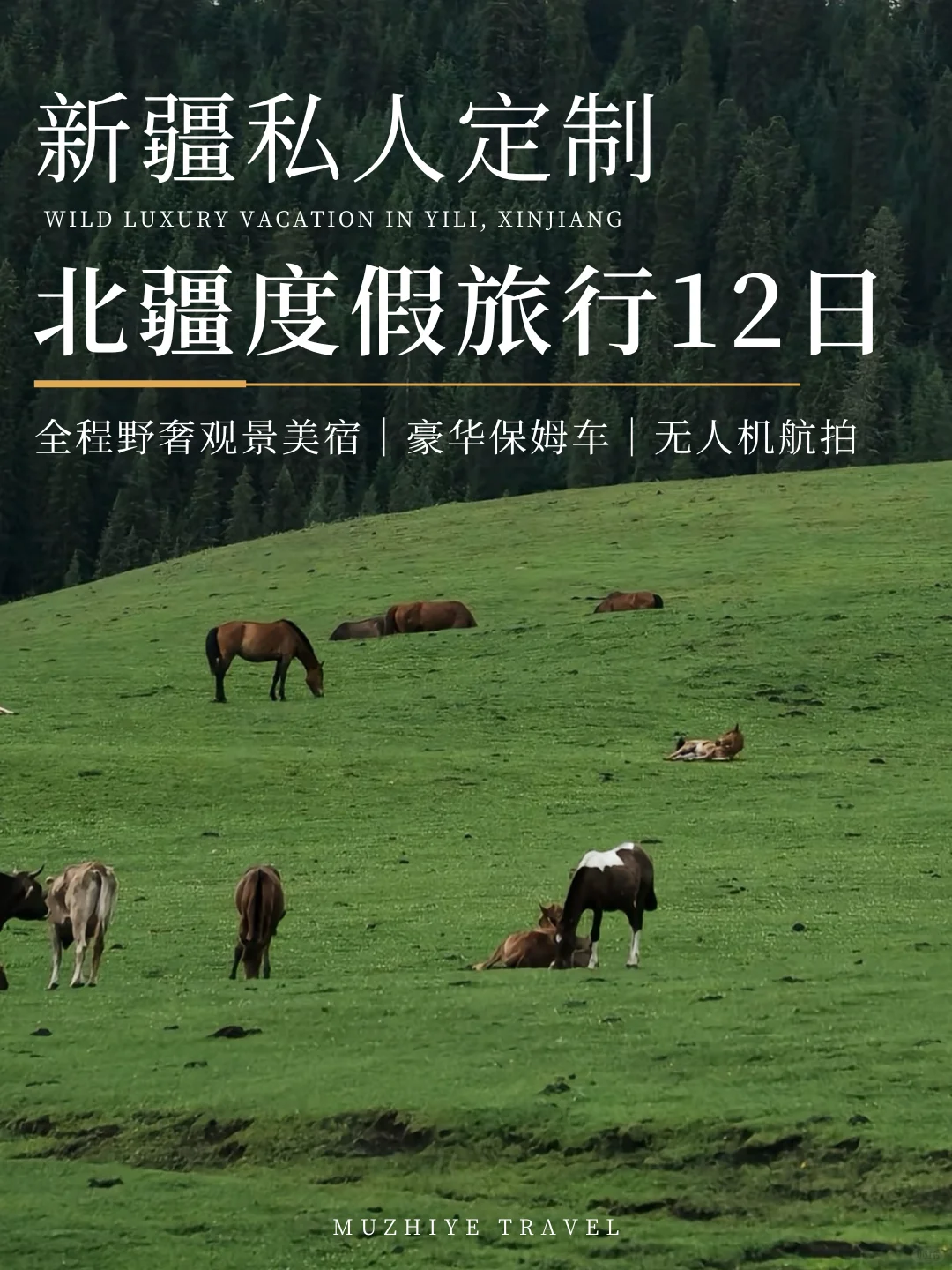 夏天就去北疆！体验风景美宿和自然之美