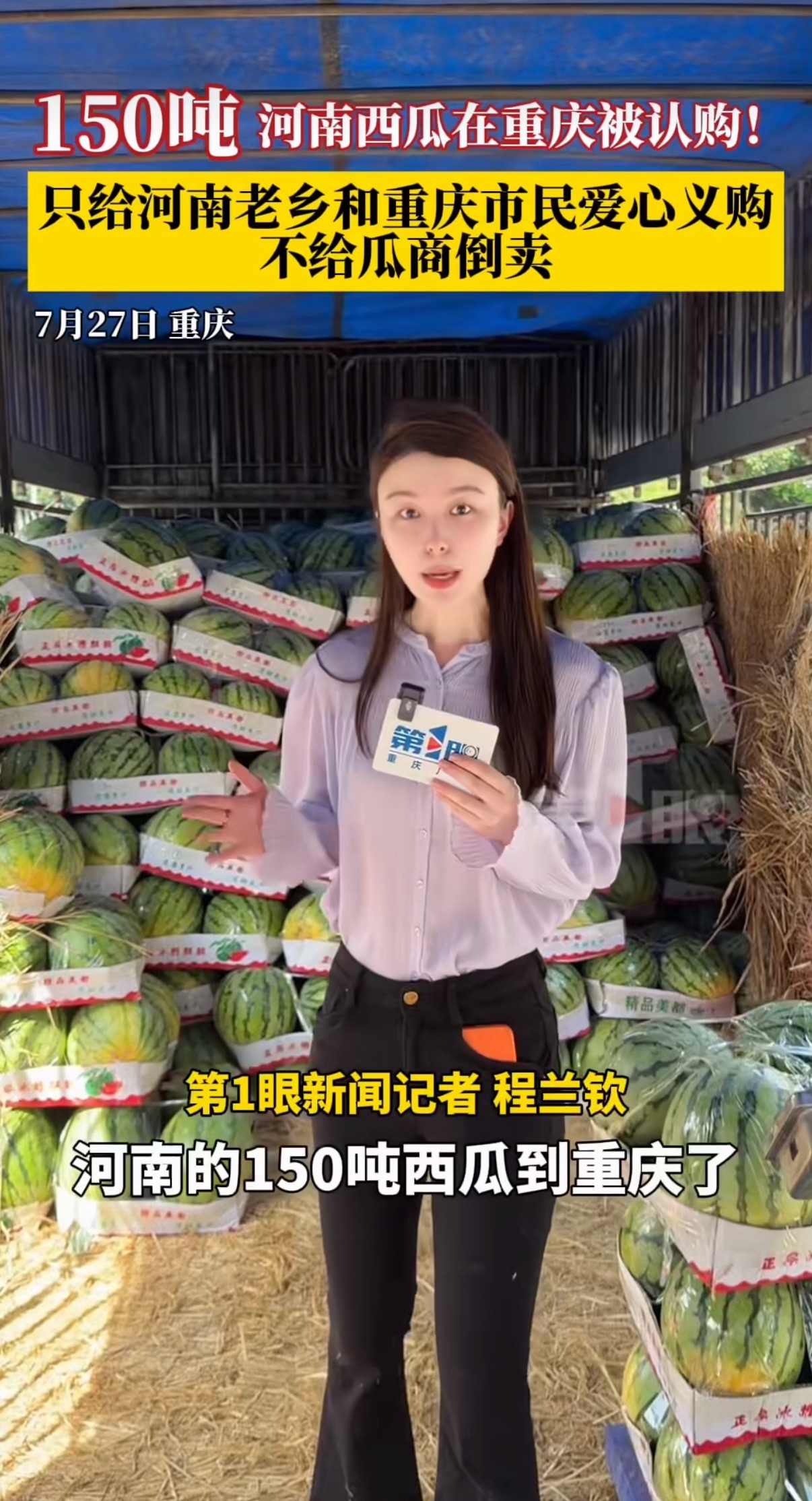 150吨河南西瓜在重庆被认购河南西瓜丰产滞销，地头收购价跌至一两毛一斤，瓜农面临
